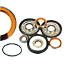 Oil Seals